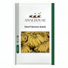 Dwarf Banana - 100 PCS Seeds