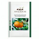 Dwarf Standing Calamondin Citrus Orange Tree - 30 PCS Seeds