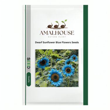 Dwarf Sunflower Blue Flowers - 50 PCS Seeds