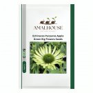 Echinacea Purpurea Apple Green Big Flowers - 200 PCS Seeds