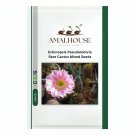 Echinopsis Pseudolobivia Rare Cactus Mixed - 10 PCS Seeds