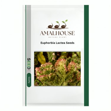 Euphorbia Lactea - 100 PCS Seeds