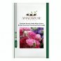 Eustoma Bonsai Mixed Colors Bonsai Perennial Flowering Plants - 100 PCS Seeds