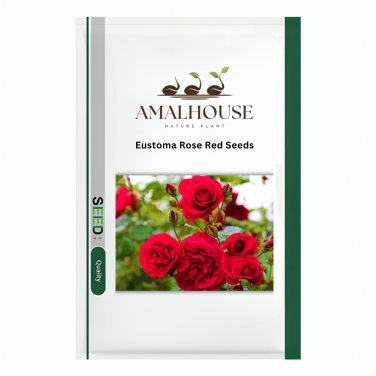 Eustoma, Rose Red - 200 PCS Seeds