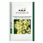 Evening Primrose Light Yellowish White Flowers with Yellow Centre - 100 PCS Seeds