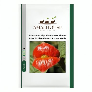 Exotic Red Lips Plants Rare Flower Pots Garden Flowers Plants - 120 PCS Seeds