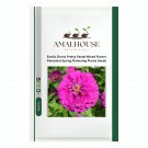 Exotic Zinnia Pretty Pastel Mixed Flower Perennial Spring Flowering Plants - 100 PCS Seeds