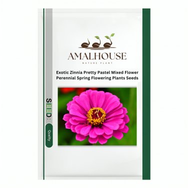 Exotic Zinnia Pretty Pastel Mixed Flower Perennial Spring Flowering Plants - 100 PCS Seeds