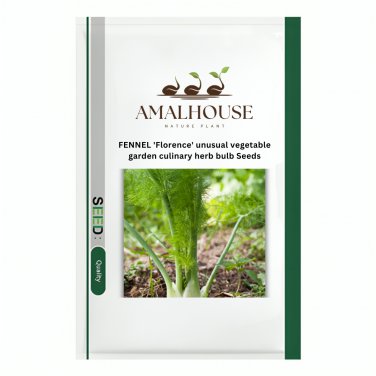 FENNEL 'Florence' unusual vegetable garden culinary herb bulb - 1800 PCS Seeds