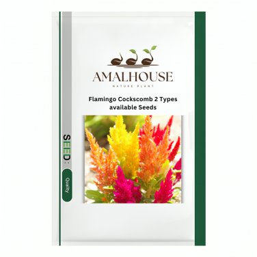 Flamingo Cockscomb 2 Types available - 300 PCS Seeds