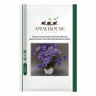 Florists Cineraria Bonsai 9 Kind Different Bonsai Flowers Pericallis hybrida Bonsai - 100 PCS Seeds