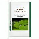 Four Leaf Clover Green Colors - 400 PCS Seeds