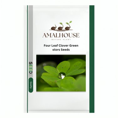 Four Leaf Clover Green Colors - 400 PCS Seeds