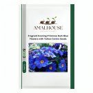 Fragrant Evening Primrose Dark Blue Flowers with Yellow Centre - 200 PCS Seeds