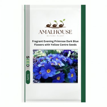 Fragrant Evening Primrose Dark Blue Flowers with Yellow Centre - 200 PCS Seeds