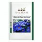 Fragrant Evening Primrose Dark Blue Flowers with Yellow Centre - 200 PCS Seeds