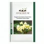 Fragrant Osmanthus Sweet Olive Tree Mixed Colors - 20 PCS Seeds