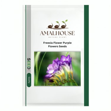 Freesia Flower Purple Flowers - 20 PCS Seeds