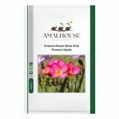 Freesia Flower Rose Pink Flowers - 10 PCS Seeds