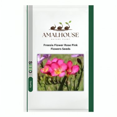 Freesia Flower Rose Pink Flowers - 10 PCS Seeds