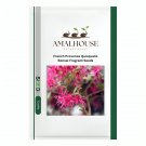 French Provence Quisqualis Bonsai Fragrant - 50 PCS Seeds
