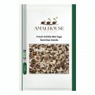 Fresh Edible Moringa Semillas - 100 PCS Seeds