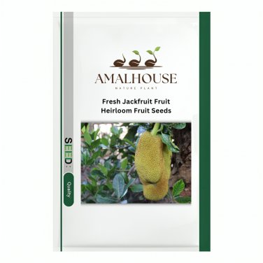 Fresh Jackfruit Fruit Heirloom Fruit - 5 PCS Seeds