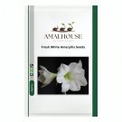 Fresh White Amaryllis - 100 PCS Seeds