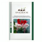 Fuchsia Bonsai Garden Balcony Lanterns Flowers Begonia Malus Spectabilis Bonsai - 200 PCS Seeds