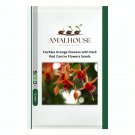 Fuchsia Orange Flowers with Dark Red Centre Flowers - 10 PCS Seeds