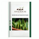 Garden Bonsai Sansevieria - 400 PCS Seeds