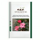 Garden Dwarf Balsam Pretty Double Impatiens Flower Novelty Bonsai - 100 PCS Seeds