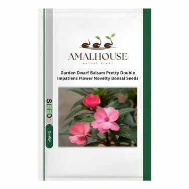 Garden Dwarf Balsam Pretty Double Impatiens Flower Novelty Bonsai - 100 PCS Seeds