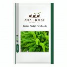 Garden Foxtail Fern - 100 PCS Seeds