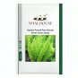 Garden Foxtail Fern Bonsai Green Color - 100 PCS Seeds
