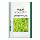 Garden Foxtail Fern Dark Green White Colors - 100 PCS Seeds