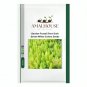 Garden Foxtail Fern Dark Green White Colors - 100 PCS Seeds