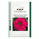 Garden Plant Semi-Trailing Verbena Bonsai - 100 PCS Seeds