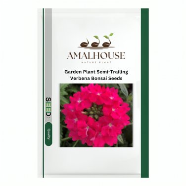 Garden Plant Semi-Trailing Verbena Bonsai - 100 PCS Seeds