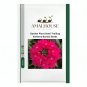 Garden Plant Semi-Trailing Verbena Bonsai - 100 PCS Seeds