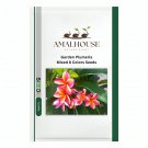 Garden Plumeria Mixed 8 Colors - 100 PCS Seeds