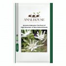 Genuine Edelweiss The Plant of High Mountain of New Zealand - 20 PCS Seeds