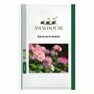 Geranium - 30 PCS Seeds