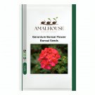 Geranium Bonsai Flower Bonsai - 20 PCS Seeds