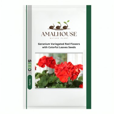 Geranium Variegated Red Flowers with Colorful Leaves - 100 PCS Seeds