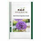 Giant Allium Giganteum - 100 PCS Seeds
