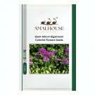 Giant Allium Giganteum Colorful Flowers - 100 PCS Seeds