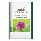 Giant Allium Giganteum Mixed 6 Colors - 100 PCS Seeds