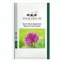 Giant Allium Giganteum Mixed 6 Colors - 100 PCS Seeds