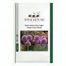 Giant Allium Plant Light Purple Color - 100 PCS Seeds